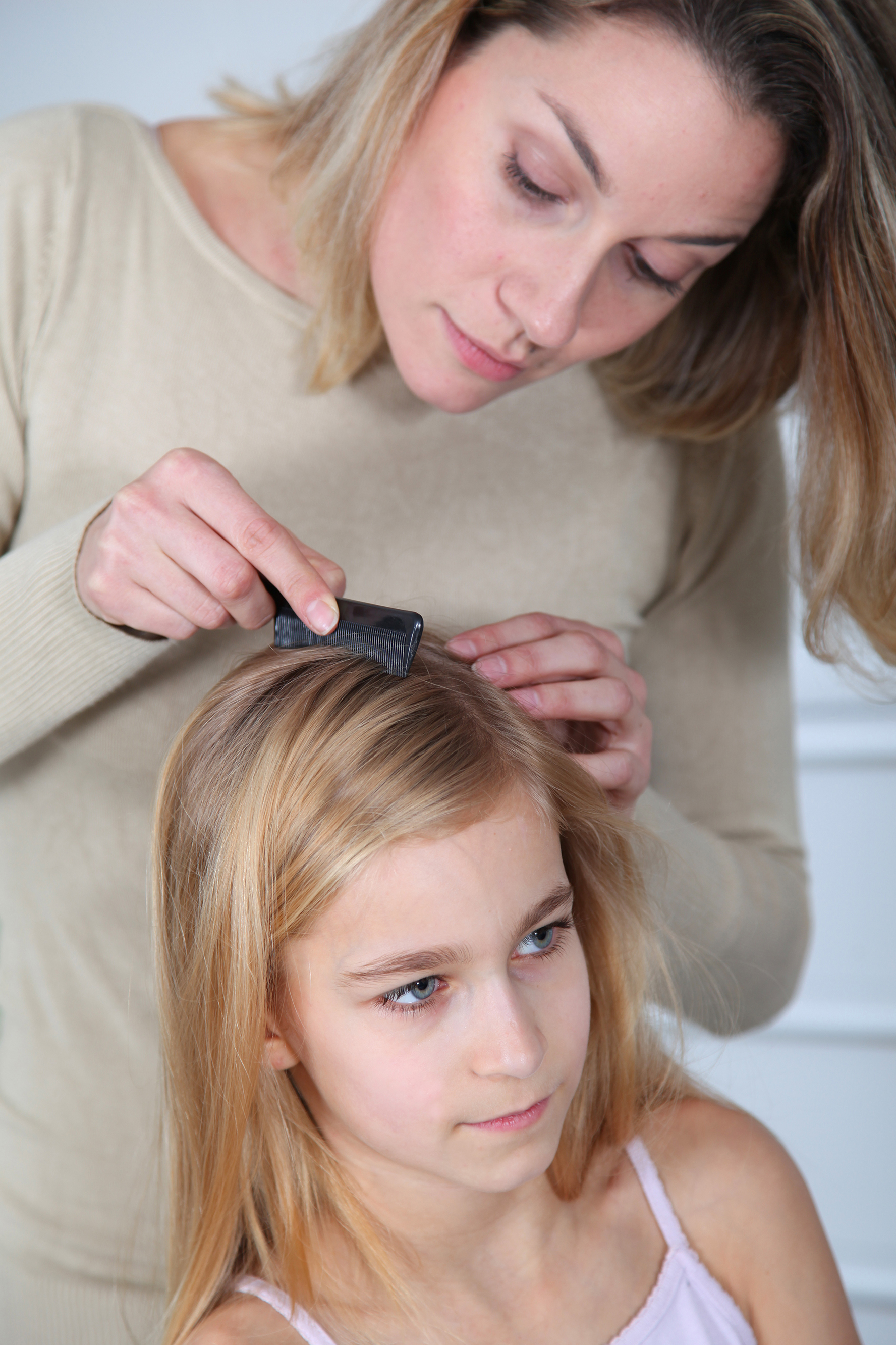 Head Lice Removal and Prevention
