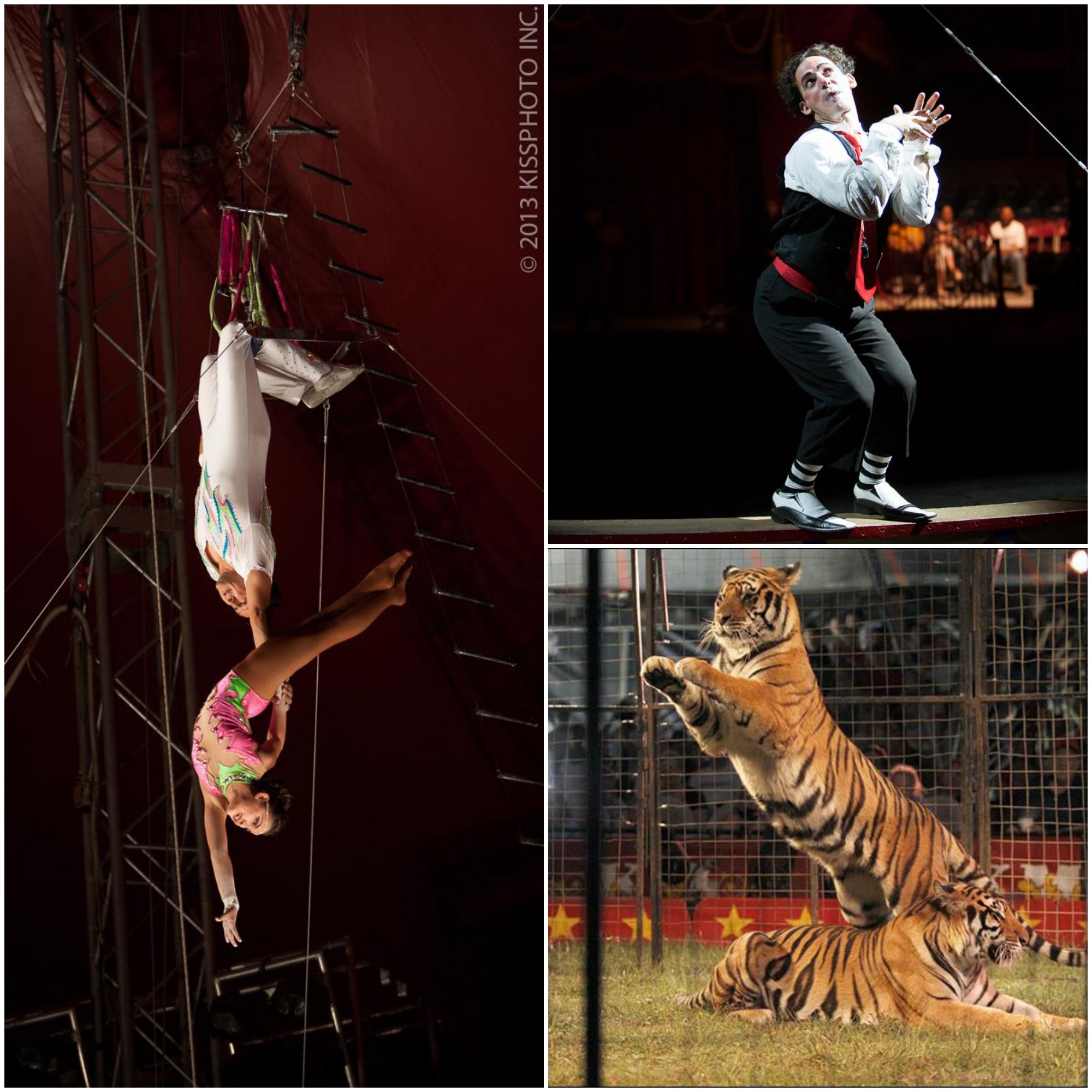 Shrine Circus 2