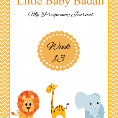 Little Baby Badali: My Pregnancy Journey ~ Week 13