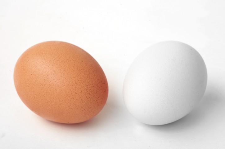 brown_white_egg