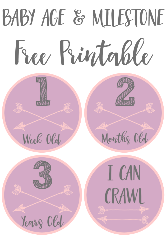 Baby Age and Milestone Free Printable Stickers Girl