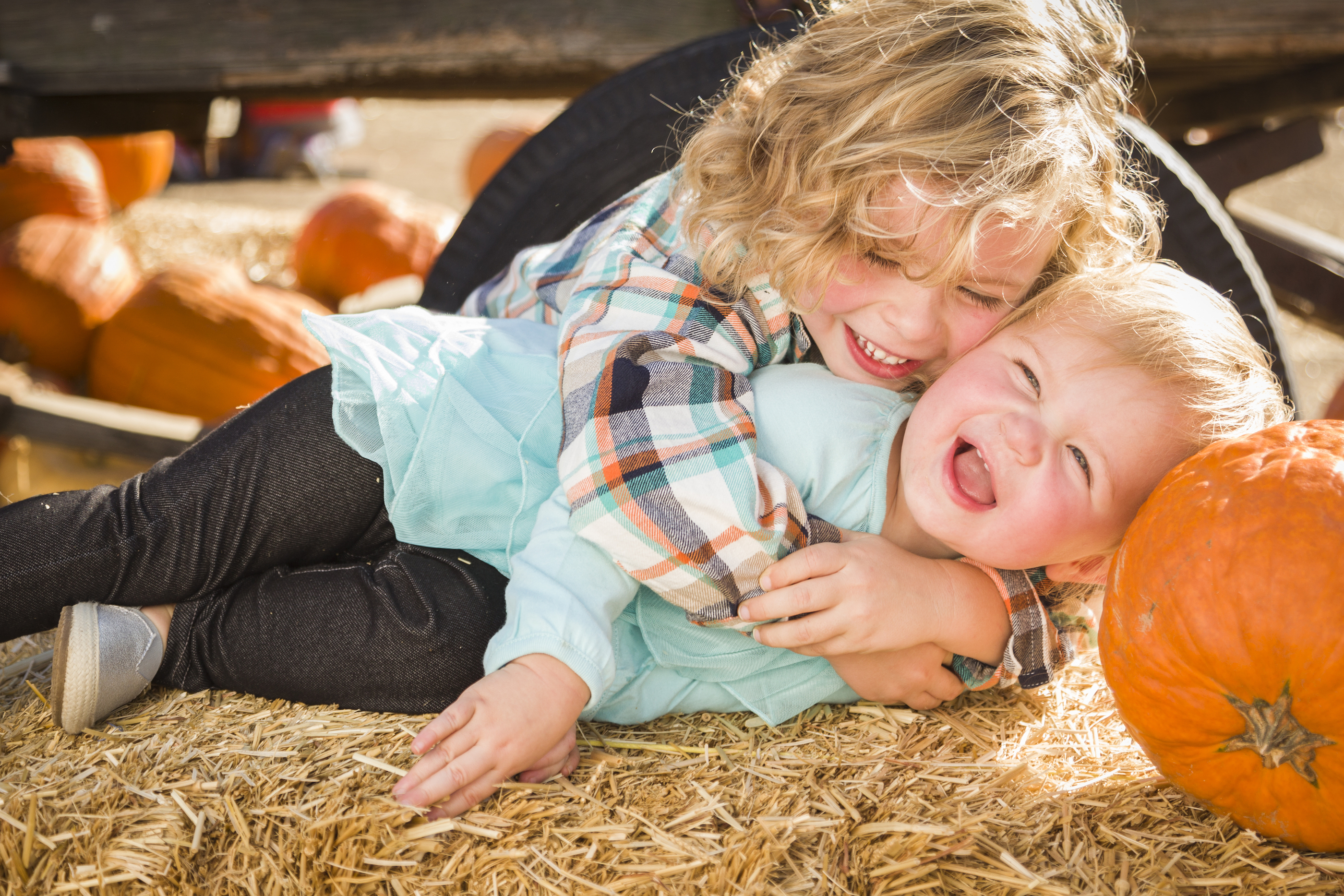 7 Tips For Great Family Pumpkin Patch Pictures