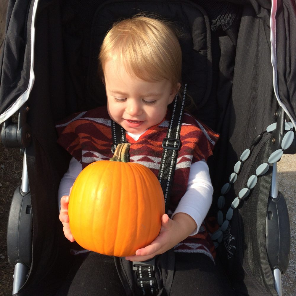 10 Toronto Area Pumpkin Patches - Extreme Couponing Mom