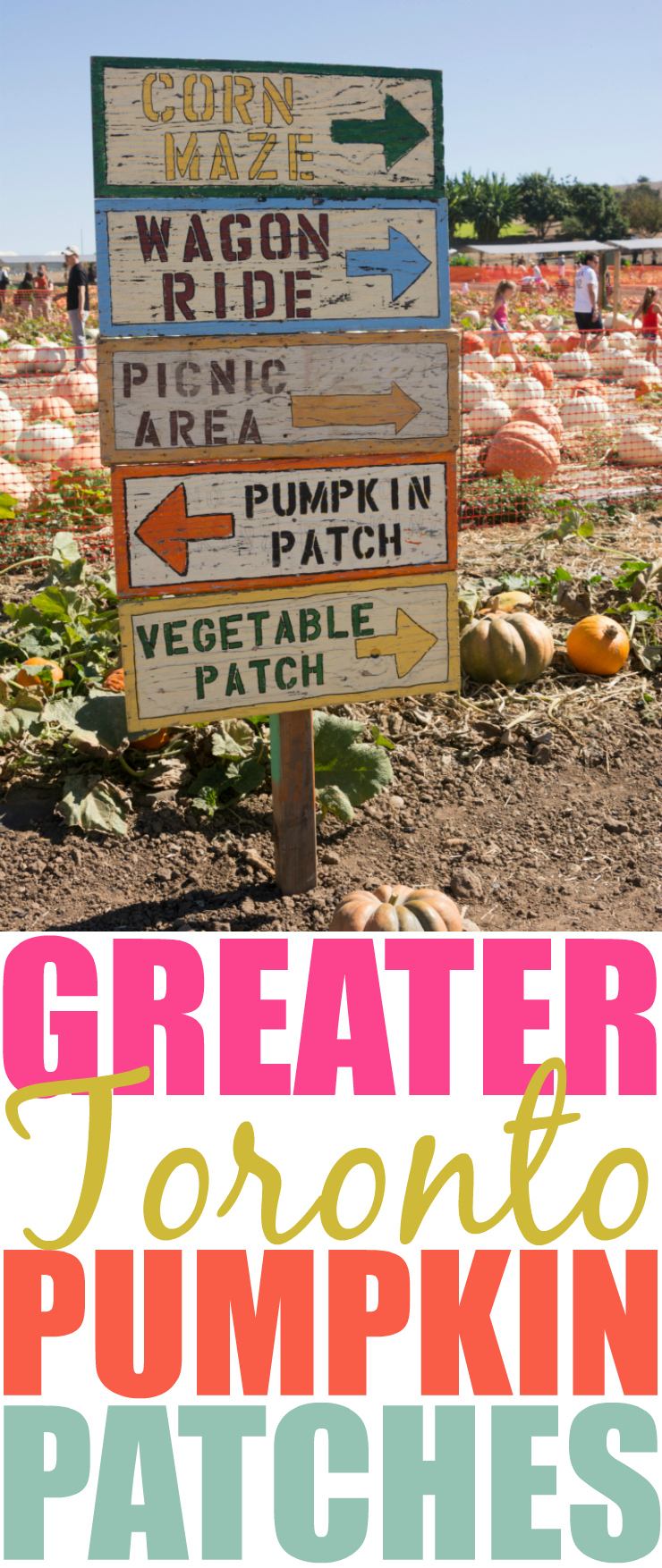 Pumpkin Patches Around The Greater Toronto Area Pinterest