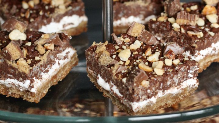 Peanut Butter Chocolate Shortbread S'Mores Bars