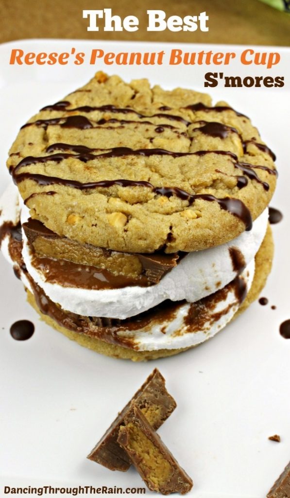 18 heavenly s'mores inspired recipes