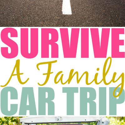 How to Survive a Family Car Trip