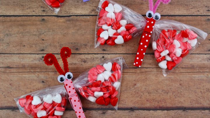 Butterfly Valentines Day Treat Bags