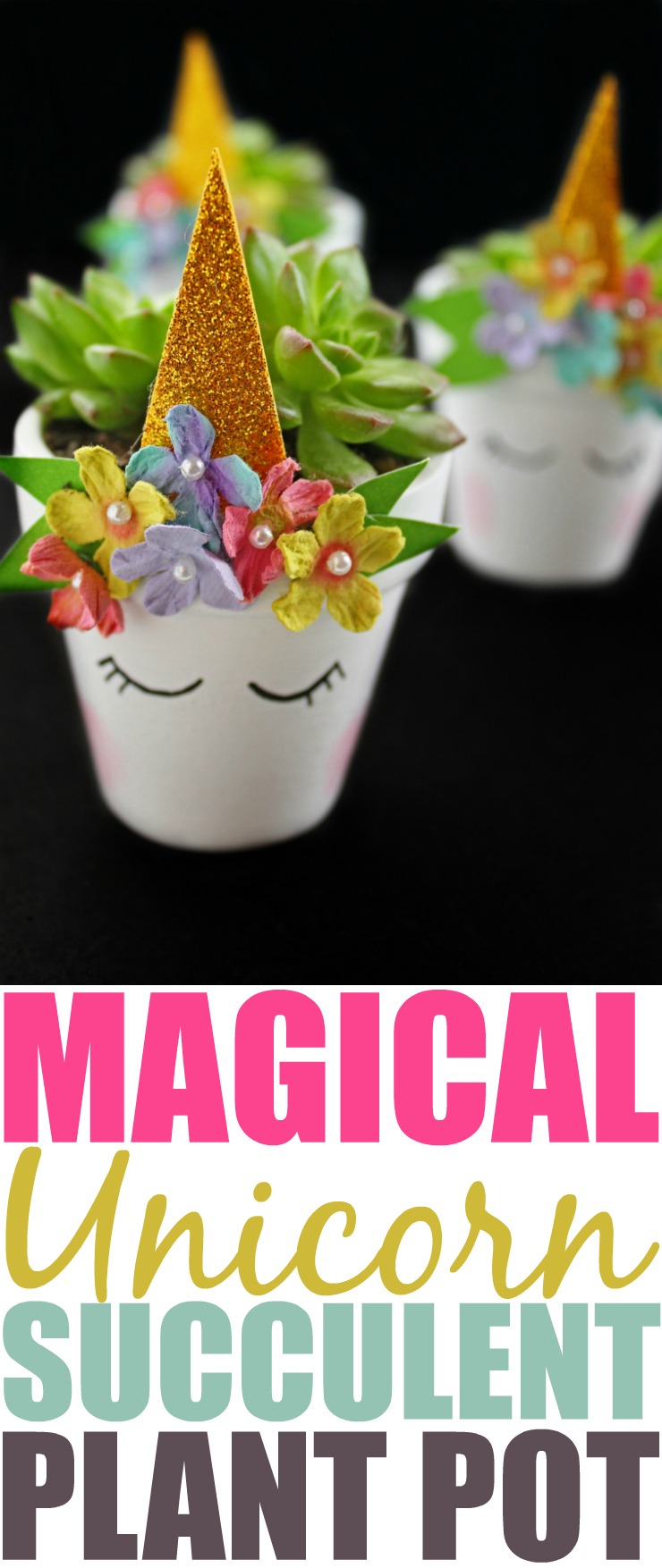 DIY Magical Unicorn Succulent Plant Pot