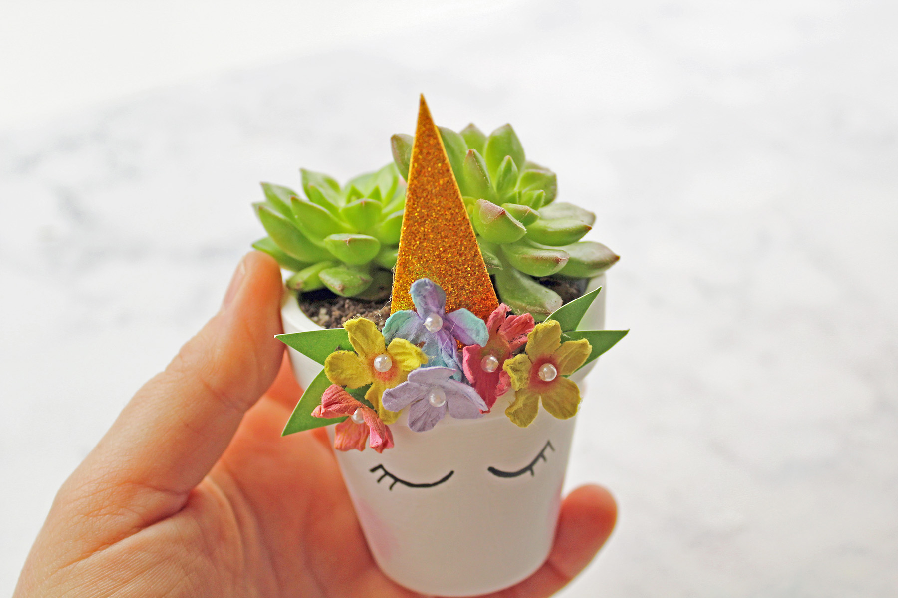 DIY Magical Unicorn Succulent Plant Pot