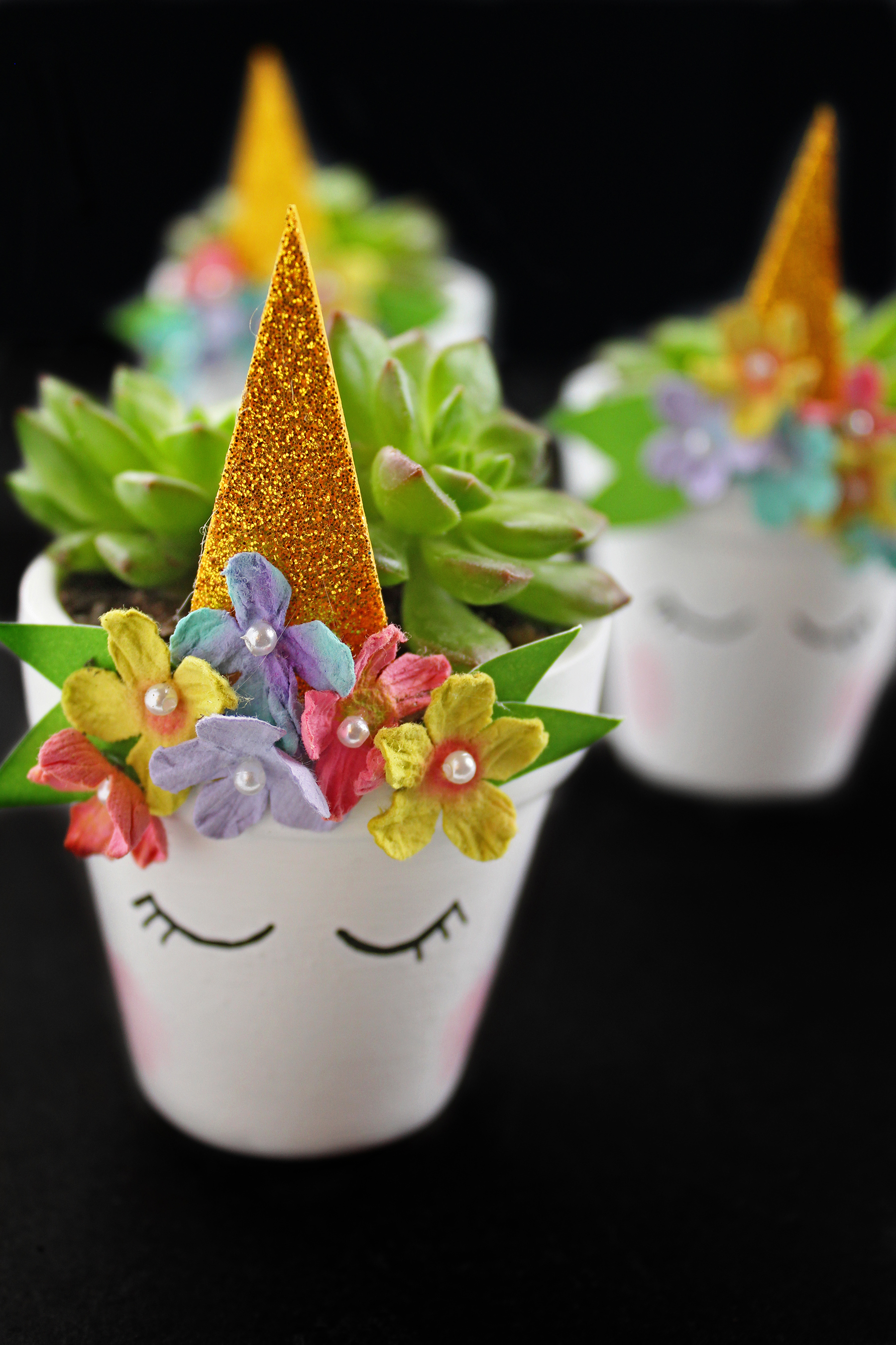 DIY Magical Unicorn Succulent Plant Pot