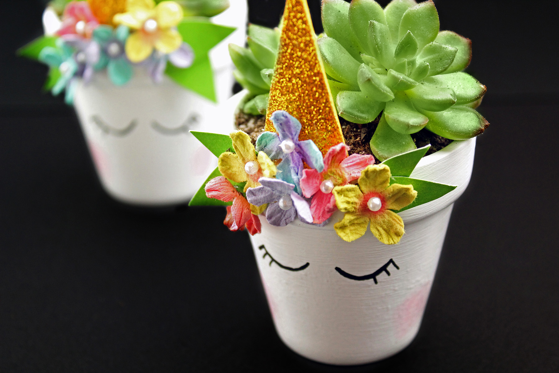 DIY Magical Unicorn Succulent Plant Pot