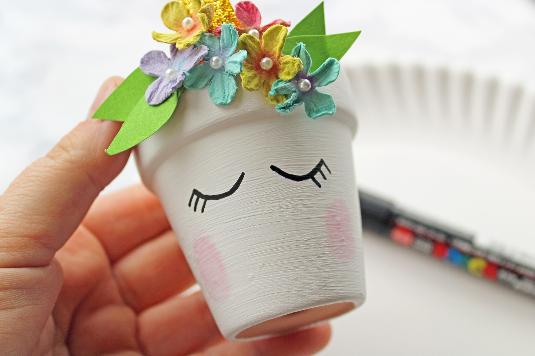 DIY Magical Unicorn Succulent Plant Pot