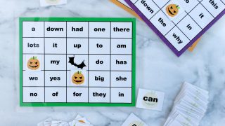 Sight Words Halloween Bingo Printable Package