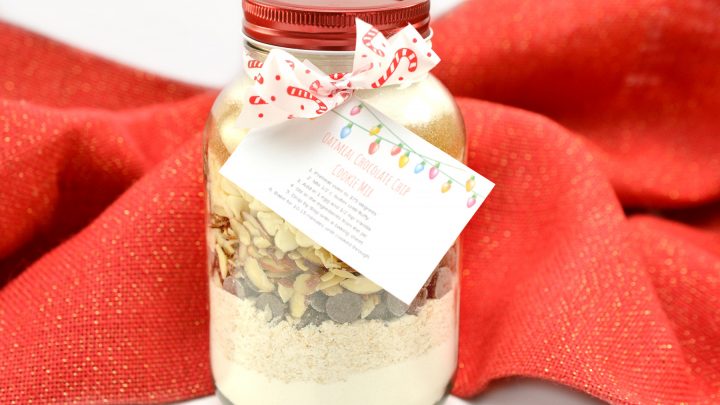 Oatmeal Chocolate Chip Cookie Mix In A Jar