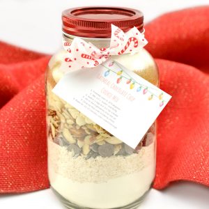 Oatmeal Chocolate Chip Cookie Mix In A Jar