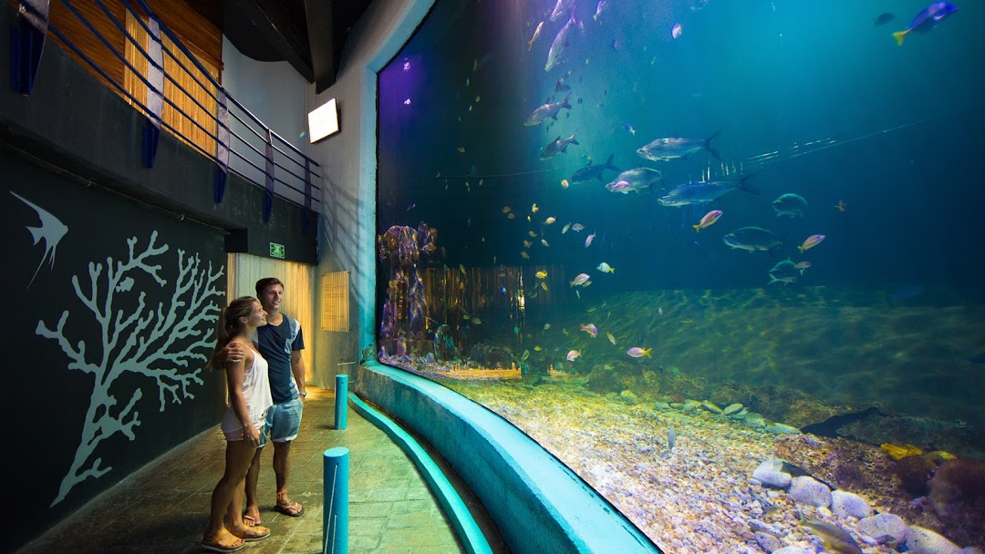 Interactive Aquarium Cancun