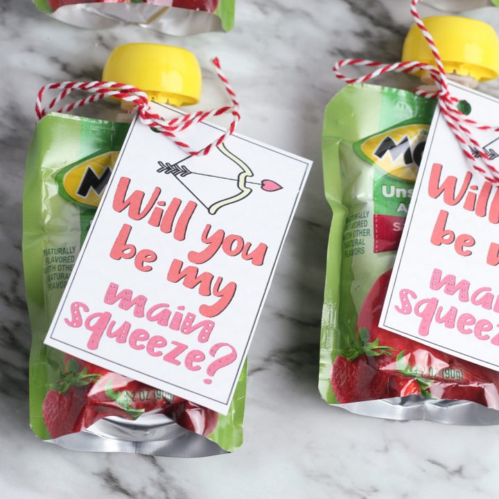 will-you-be-my-main-squeeze-valentine-applesauce-pouches