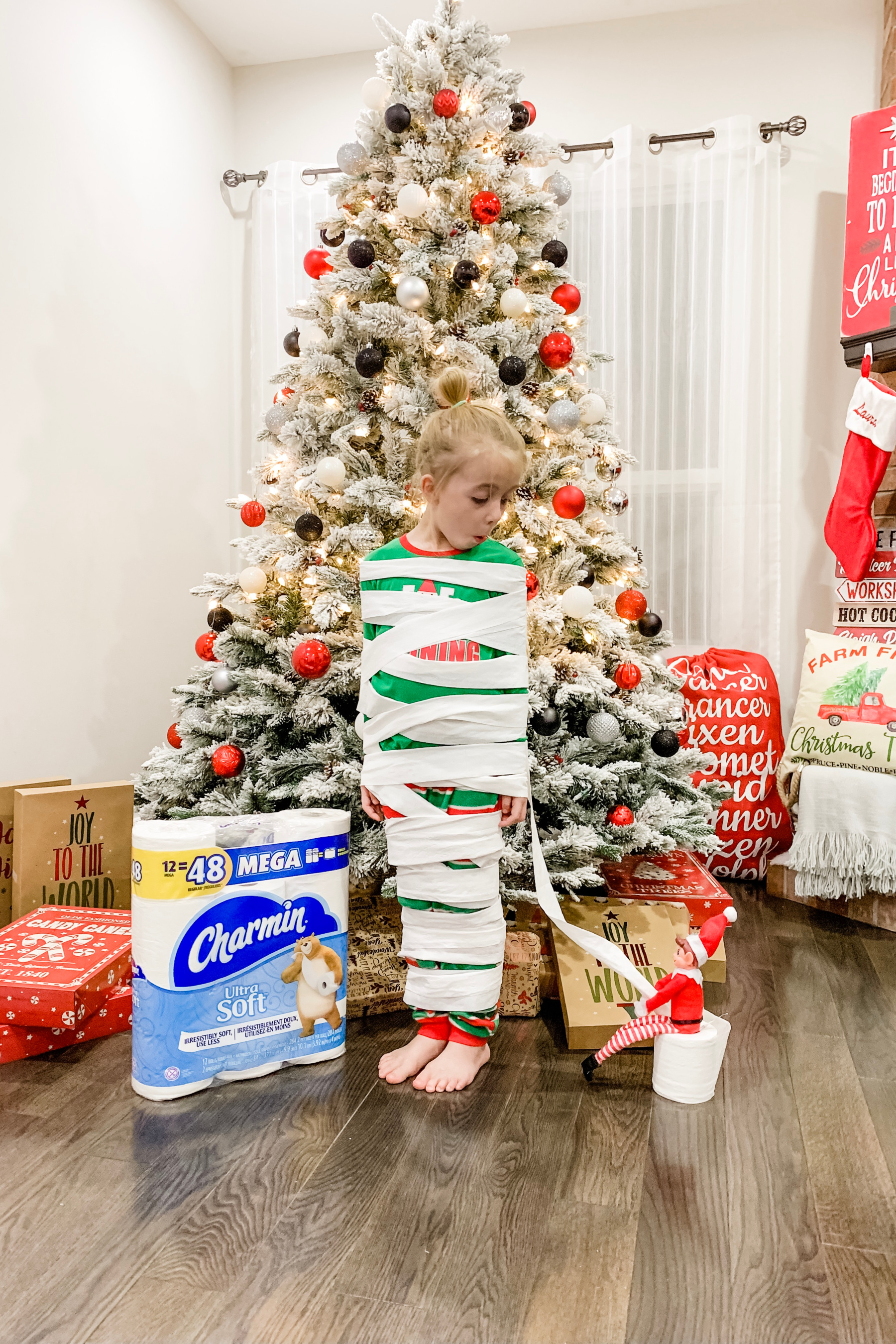 Charmin Canada December 2019