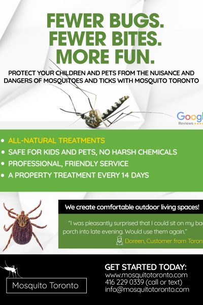 Mosquito Toronto