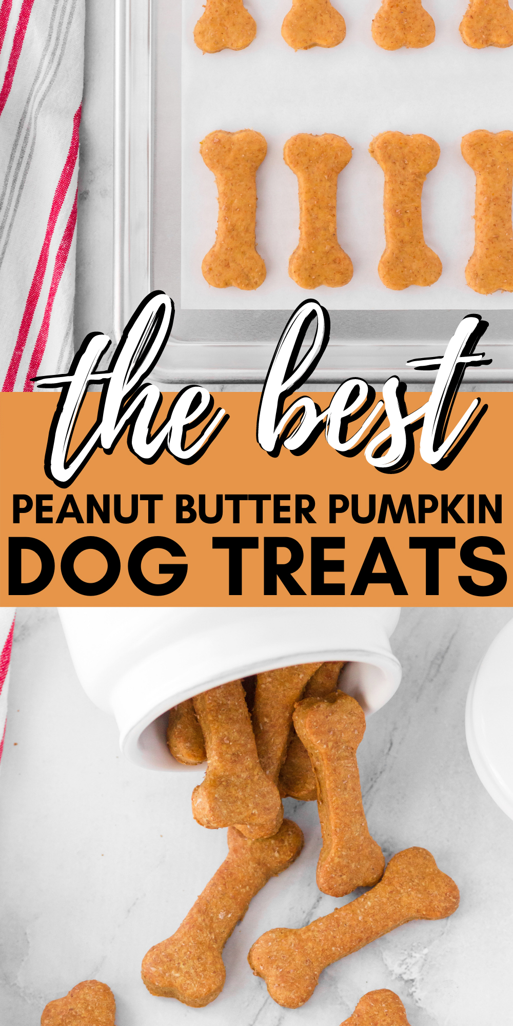 Peanut Butter Pumpkin Dog Treats